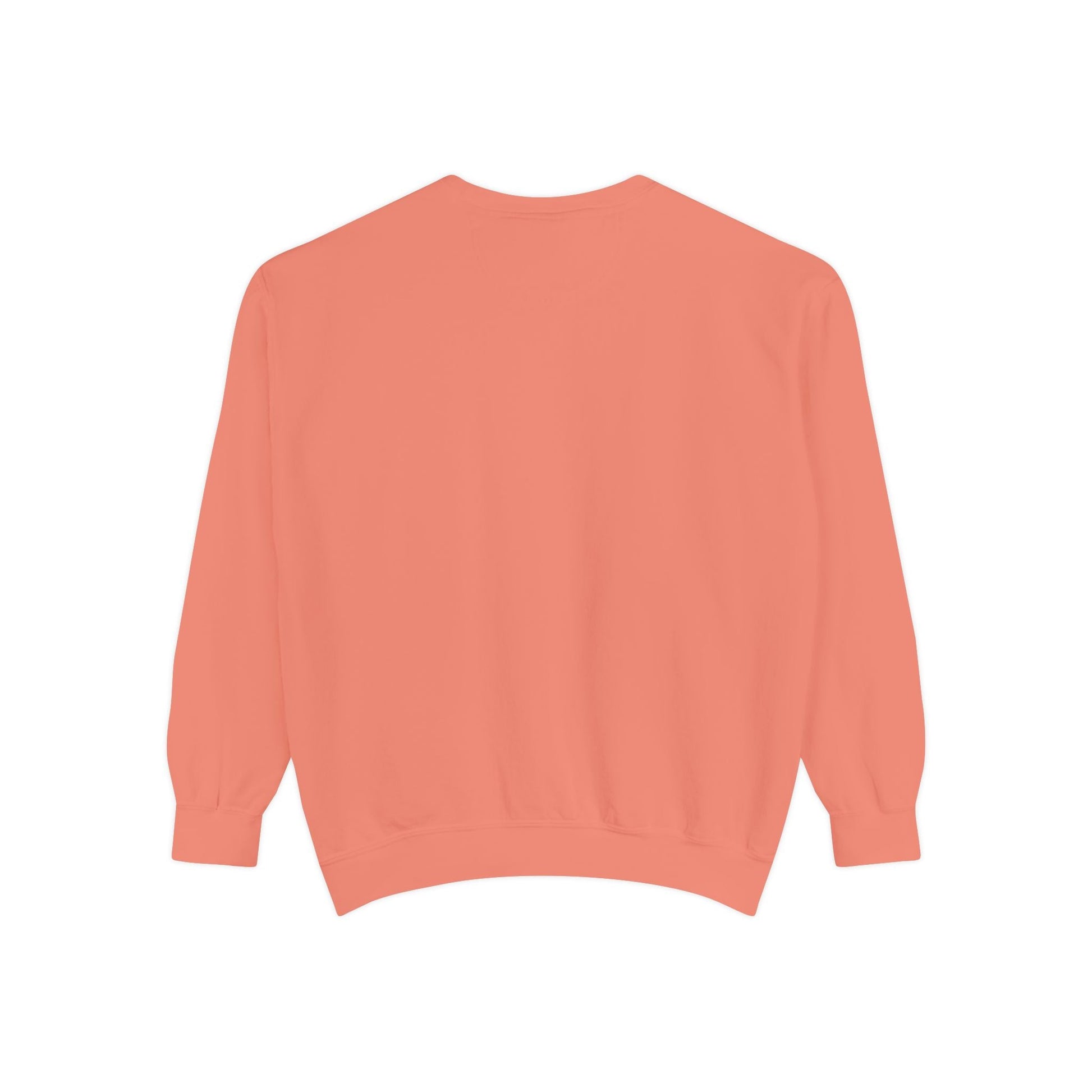 FRGE STREETWEAR - Unisex Garment-Dyed Sweatshirt Printify Sweatshirt