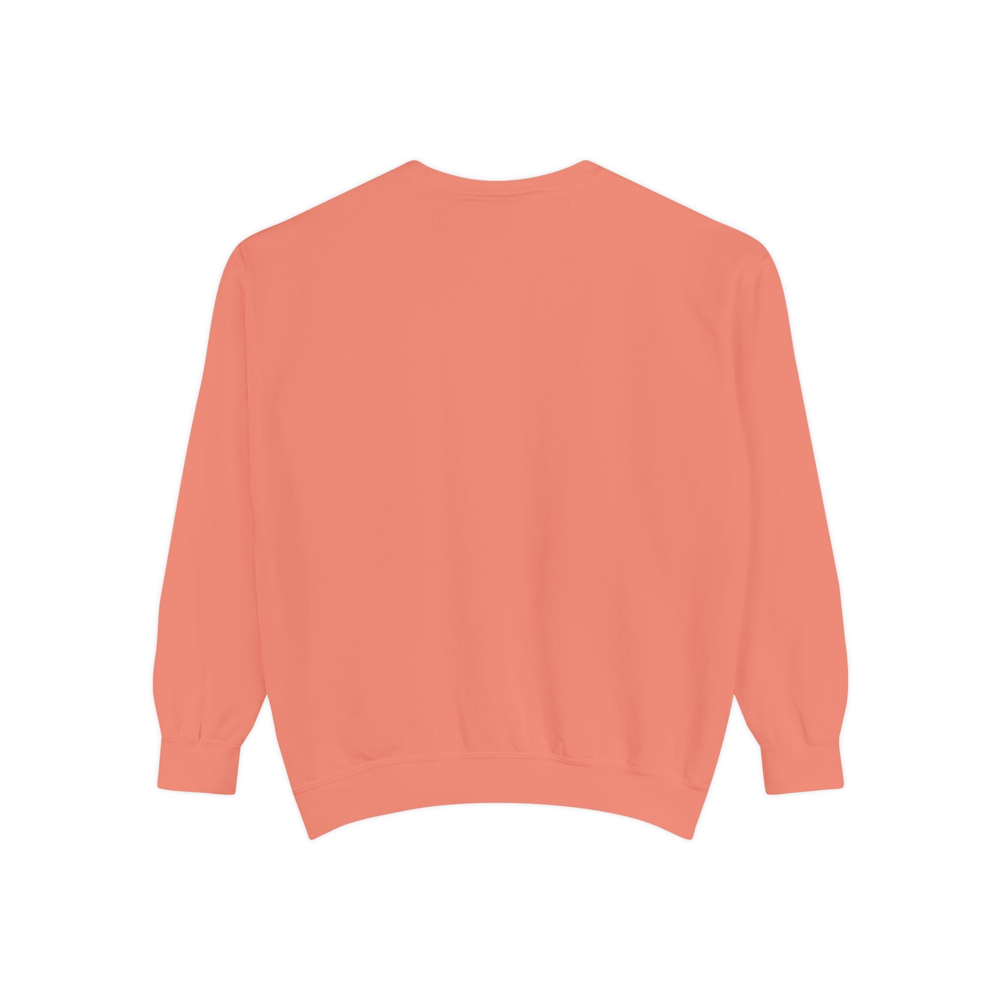 FRGE STREETWEAR - Unisex Garment-Dyed Sweatshirt Printify Sweatshirt